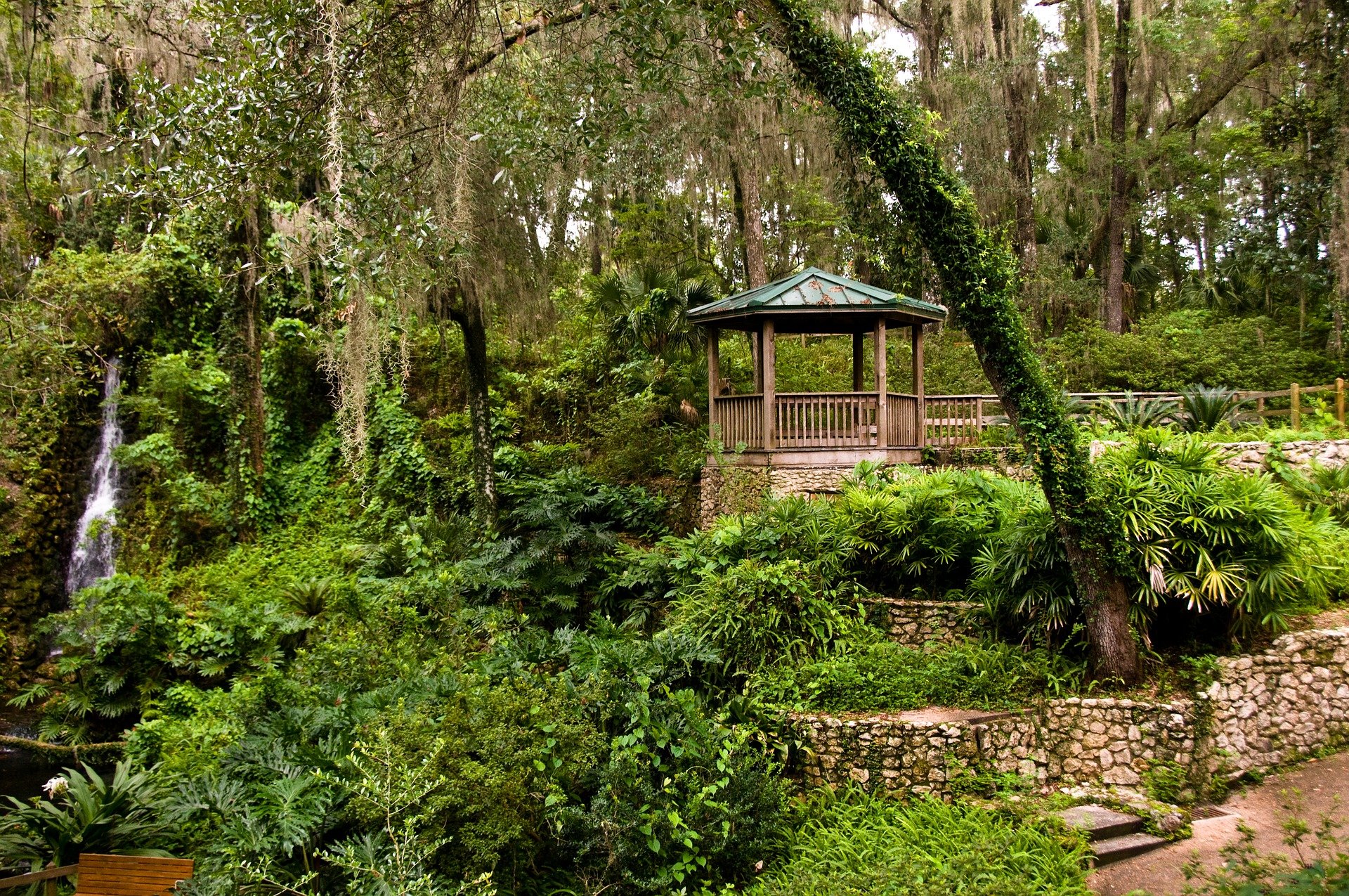 rainbow springs in florida