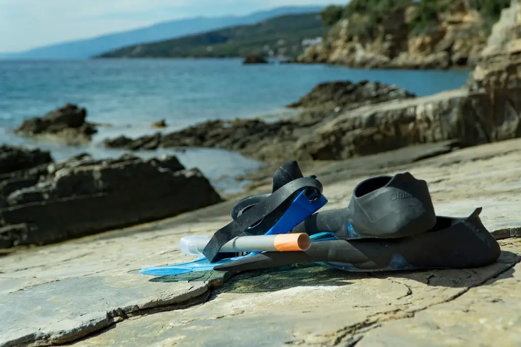 Snorkeling Gear