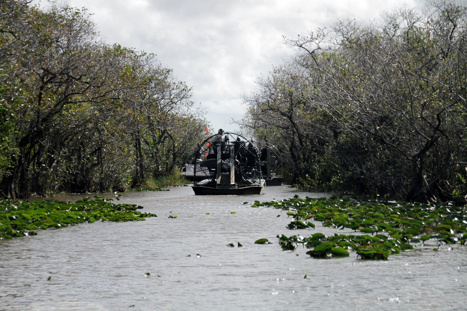 Everglades airboat tours