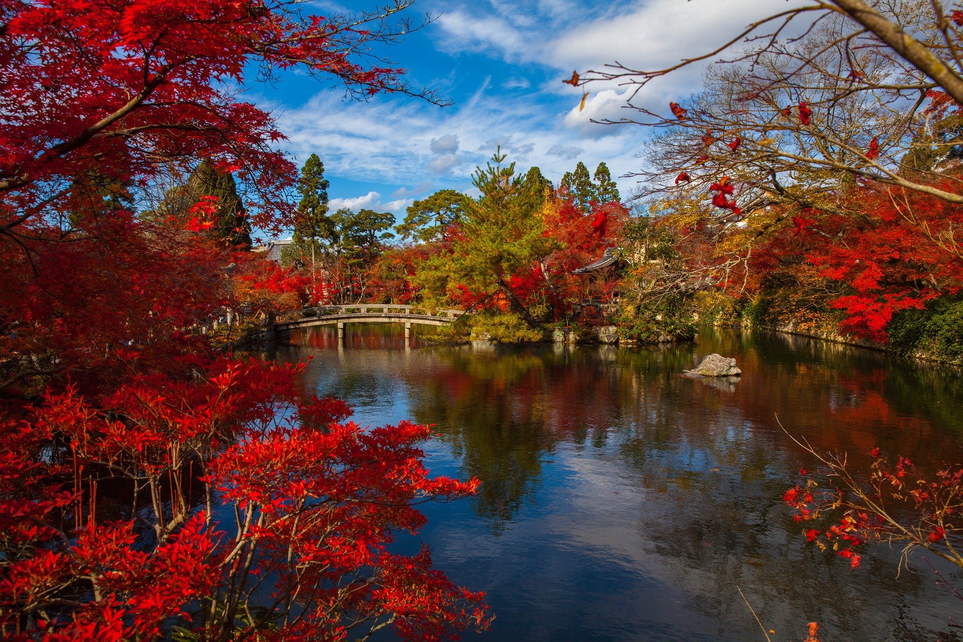 things to do in kyoto