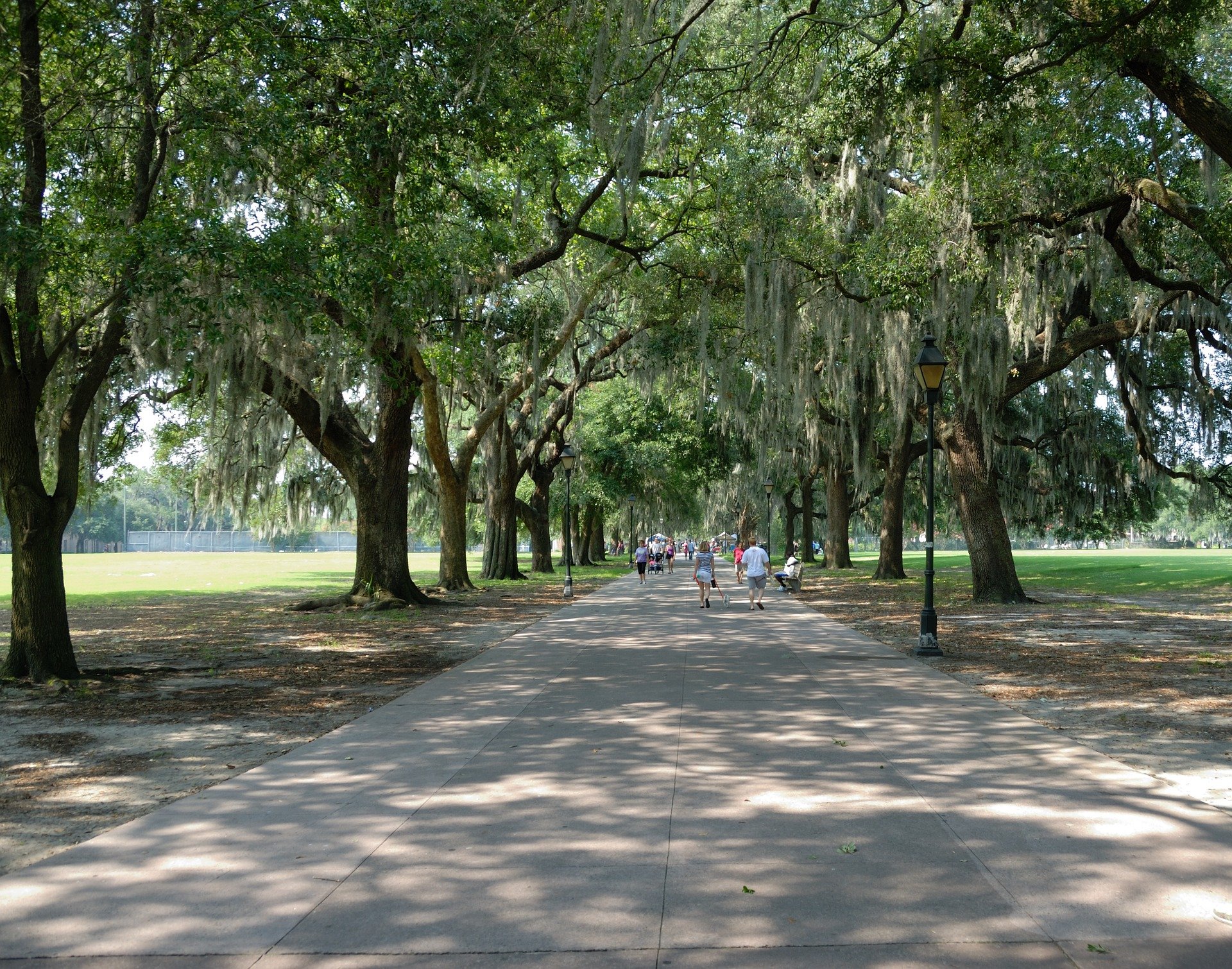 things to do in savannah