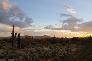 30 Best Places to Visit and Things to Do in Tucson, Arizona
