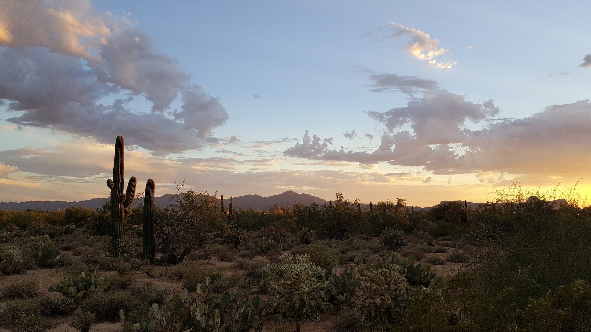 things to do in tucson