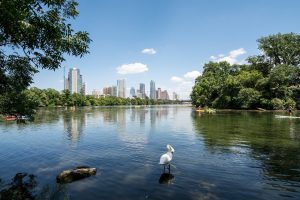 things to do in Austin - Lady Bird Lake