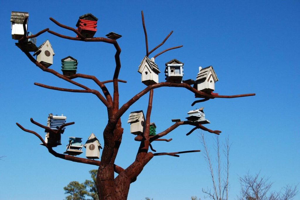 things to do in Raleigh: Bird Houses at NCMA