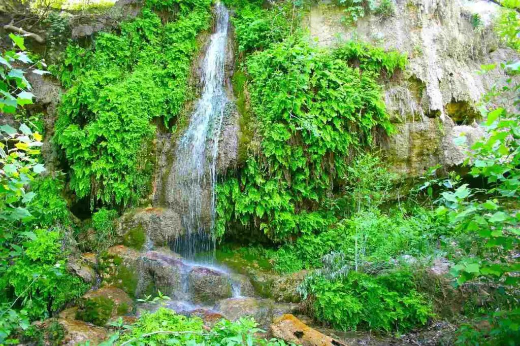 Waterfalls in Texas: Krause Springs