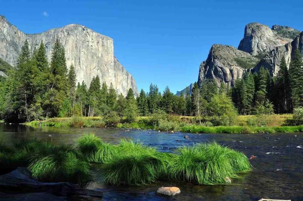 Day Trips From San Francisco: Yosemite National Park 